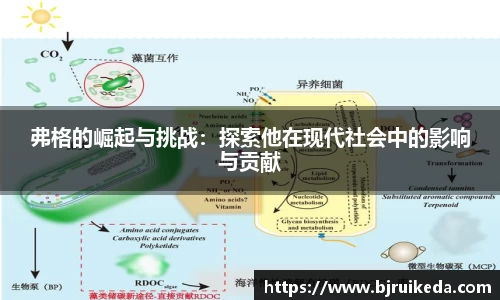弗格的崛起与挑战：探索他在现代社会中的影响与贡献
